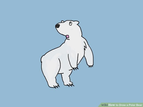 Белый медведь легкий рисунок