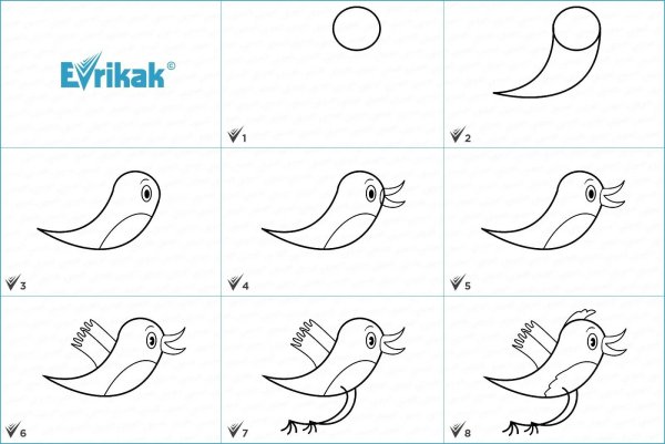 Поэтапное рисование птиц