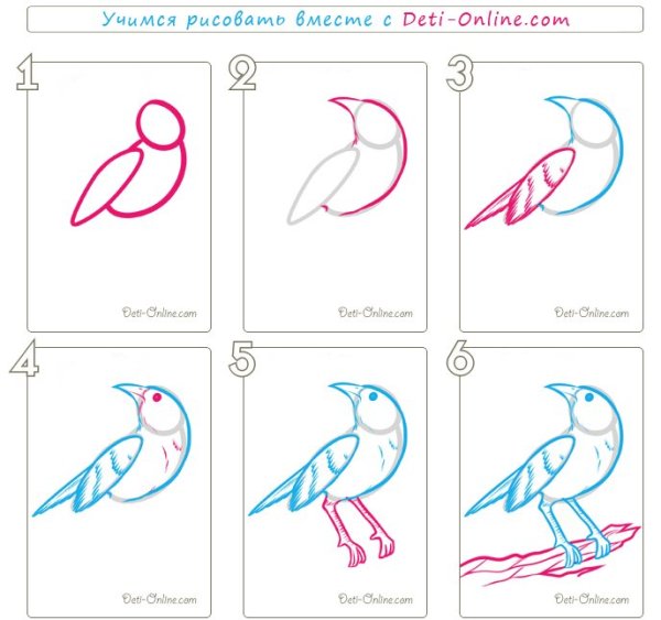 Рисование птиц