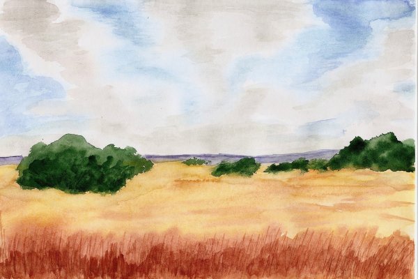 Степь акварель