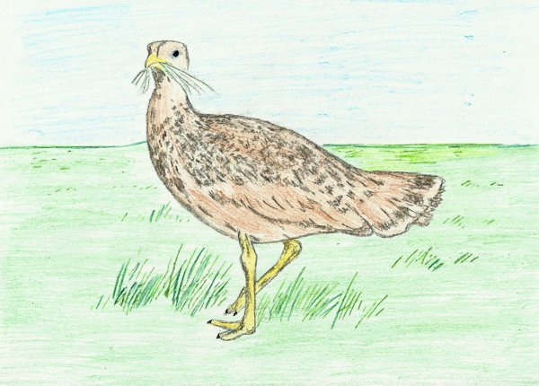 Степной пейзаж для детей