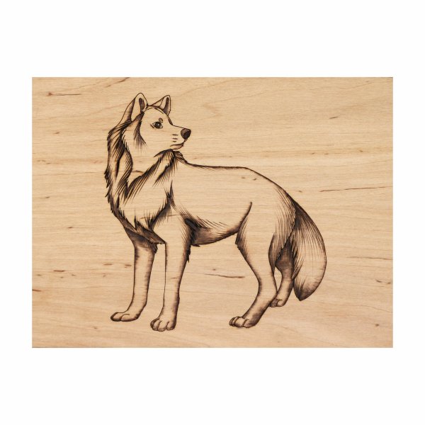 Рисунки для выжигания для начинающих