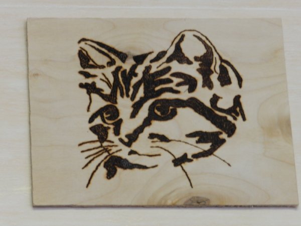 Красивые узоры для вышивки