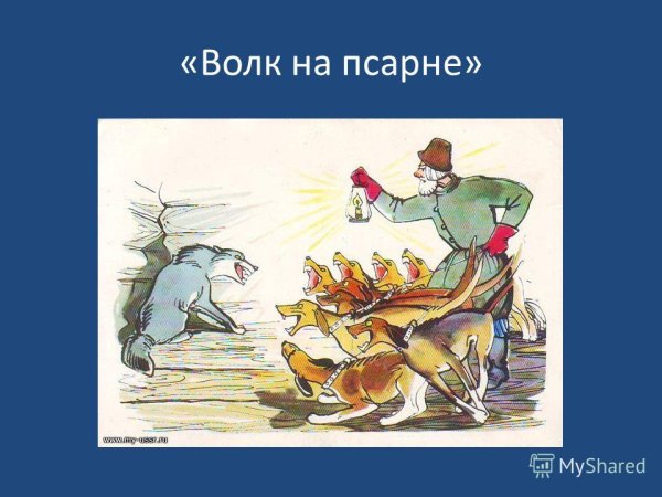 Рисунок волк на псарне 1 класс