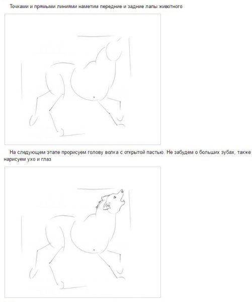 Волк на псарне раскраска