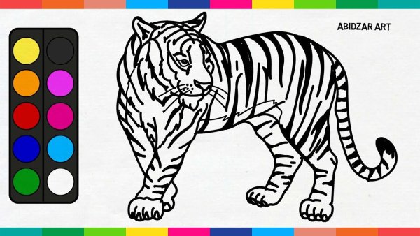 Рисование тигра для детей 6-7 лет