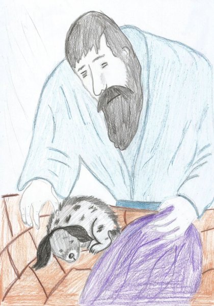 Рисунок на тему Муму