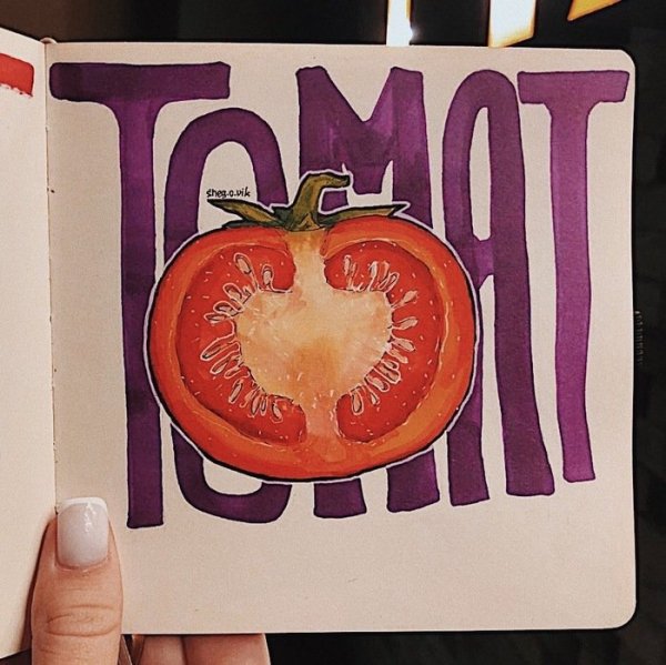 Скетчбук фрукты