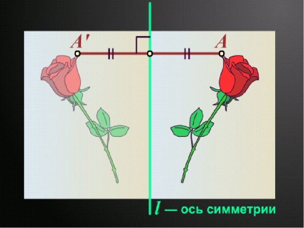 Осевая симметрия рисунки