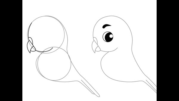 Попугай для срисовки