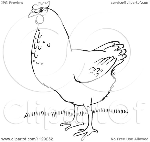 Алеша черная курица