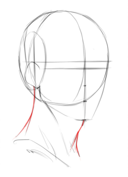 Рисование головы девушки