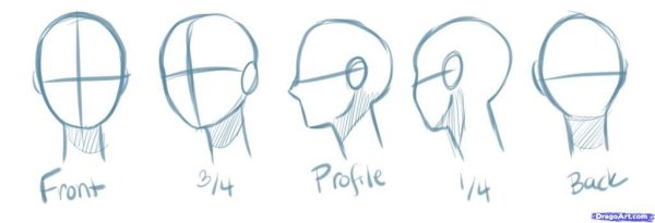 Формы головы для рисования аниме