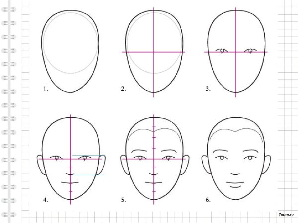 Референсы головы Эндрю Лумис