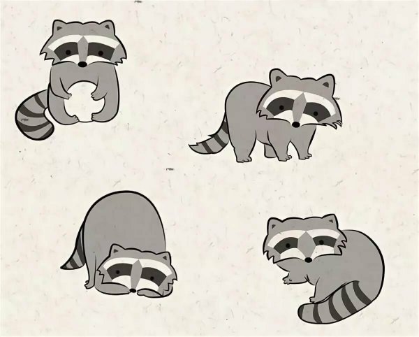 Енот рисунок для срисовки