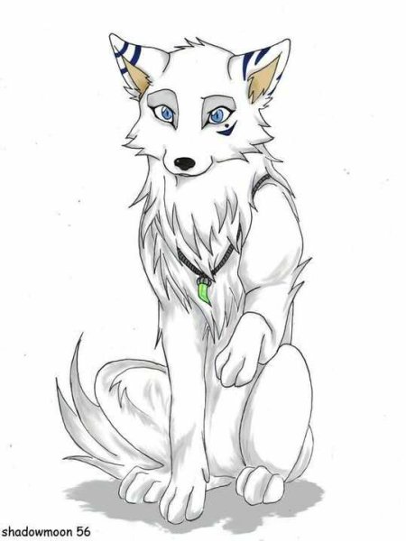 Рисунок волка для срисовки