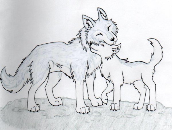 Раскраска волк с волчатами