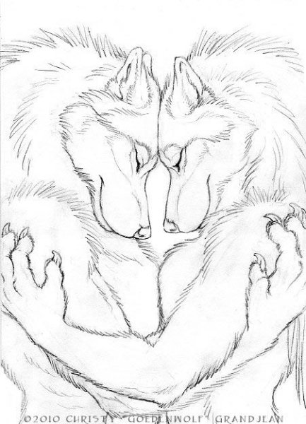 Волк обнимает волчицу