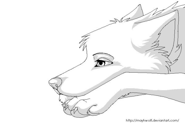 Раскраски волки аниме