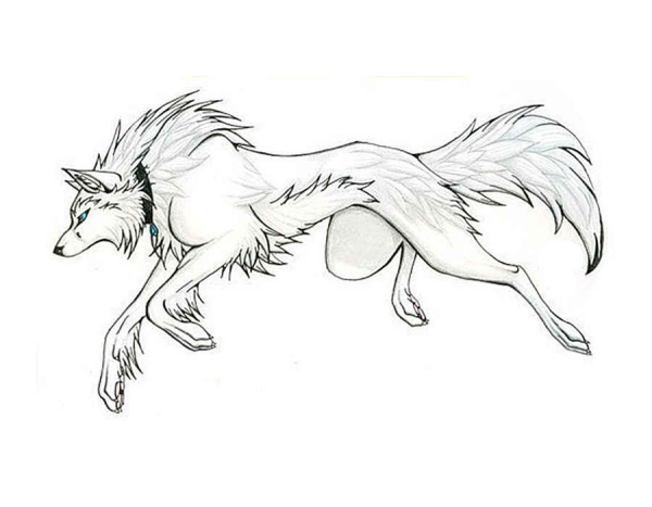 Раскраски волки аниме