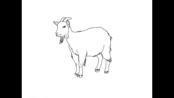 Нарисовать козу