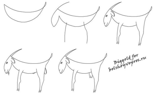 Поэтапное рисование козы