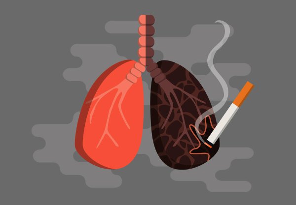 Здоровые и нездоровые легкие