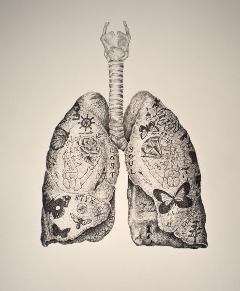 Легкие до и после курения