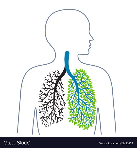 Сигарета рисунок