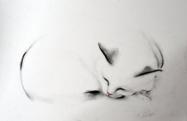 Художник Kellas Campbell