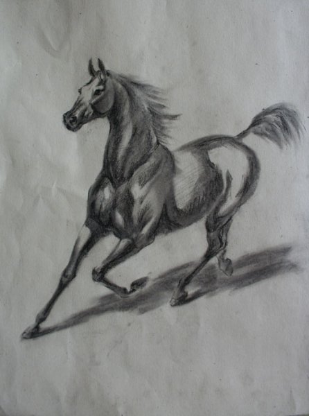 Рисунки угольным карандашом