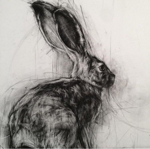 Животные углем