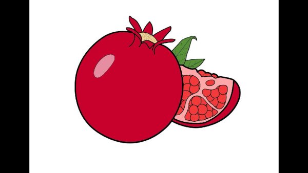 Гранат раскраска