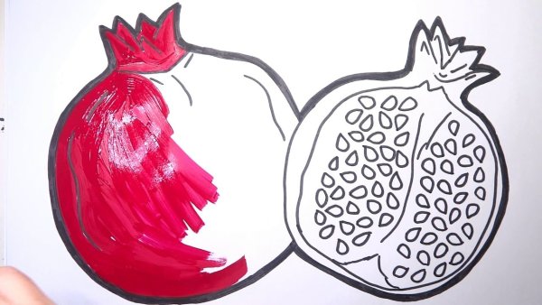 Гранат рисунок легкий