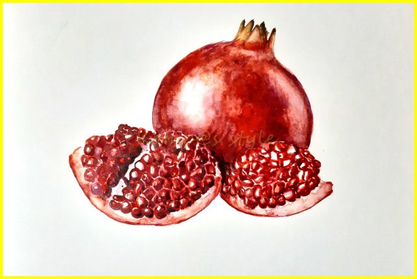 Гранат рисунок