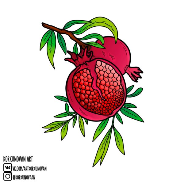 Гранат набросок