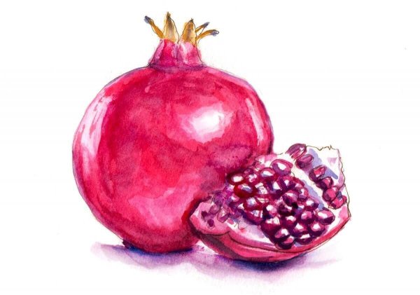 Гранат акварелью