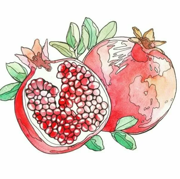 Гранат скетч