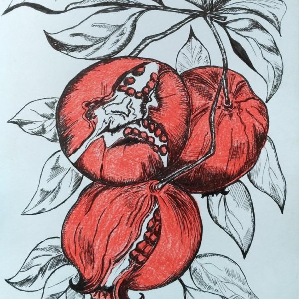 Гранат Графика