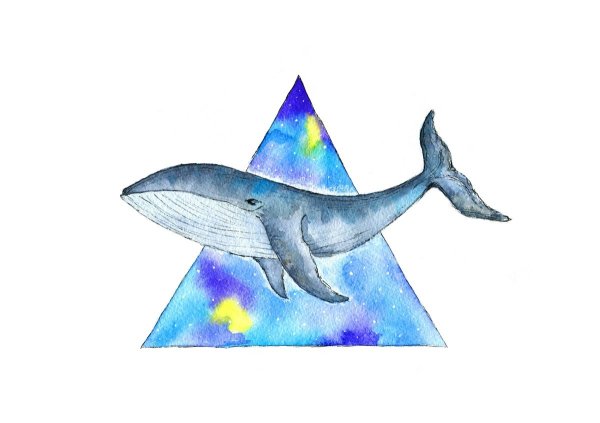 Рисунок кита для срисовки