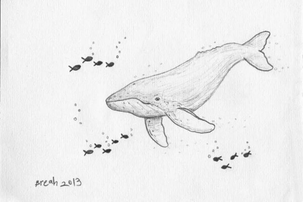 Кит карандашом