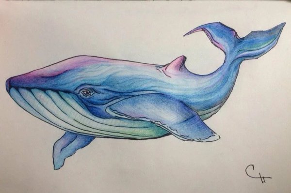 Рисуем кита