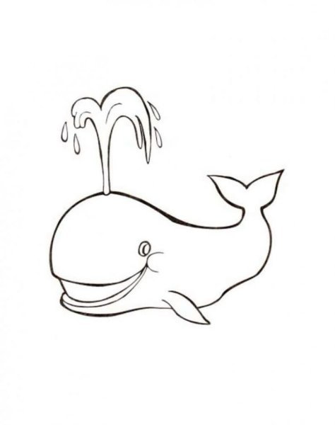 Кит раскраска для детей