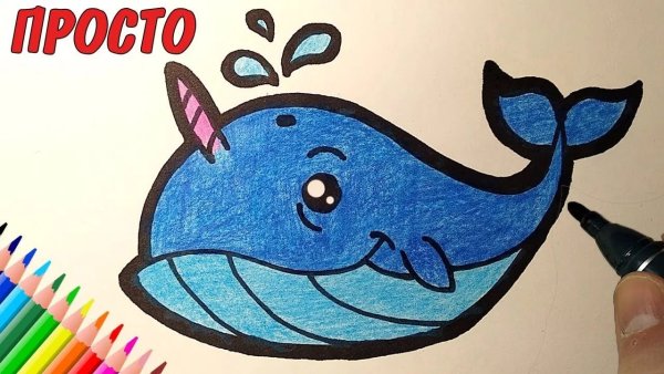 Кит рисунок легко