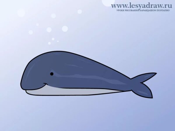 Уроки рисования кита