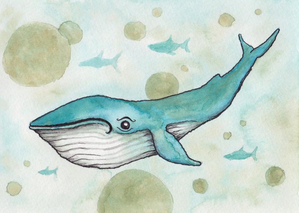 Кит для детей