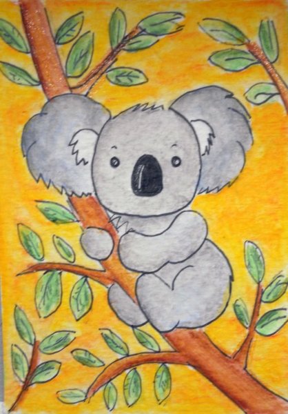 Коала аниме