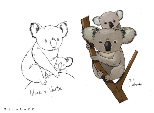 Коала поэтапное рисование