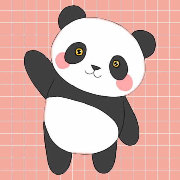 Панда рисунок для срисовки
