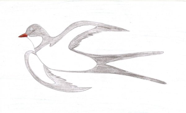 Лёгкие рисунки ласточки